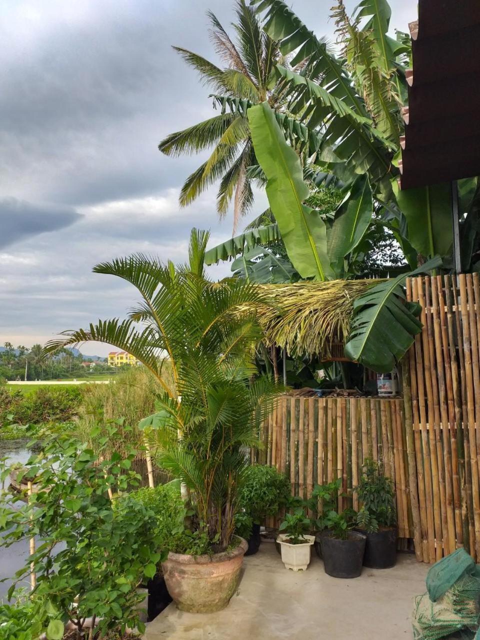 Gio Chieu Homestay - Riverside & Swimming Pool 会安 外观 照片
